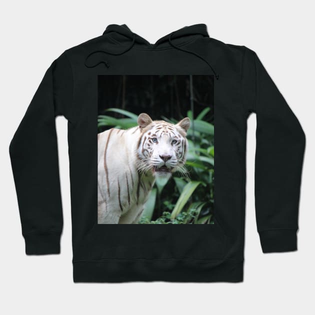 Jungle Cat Hoodie by LeanneAllen